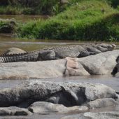  The Serengeti, TZ